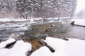 Rocky Mountain Winter River Scene