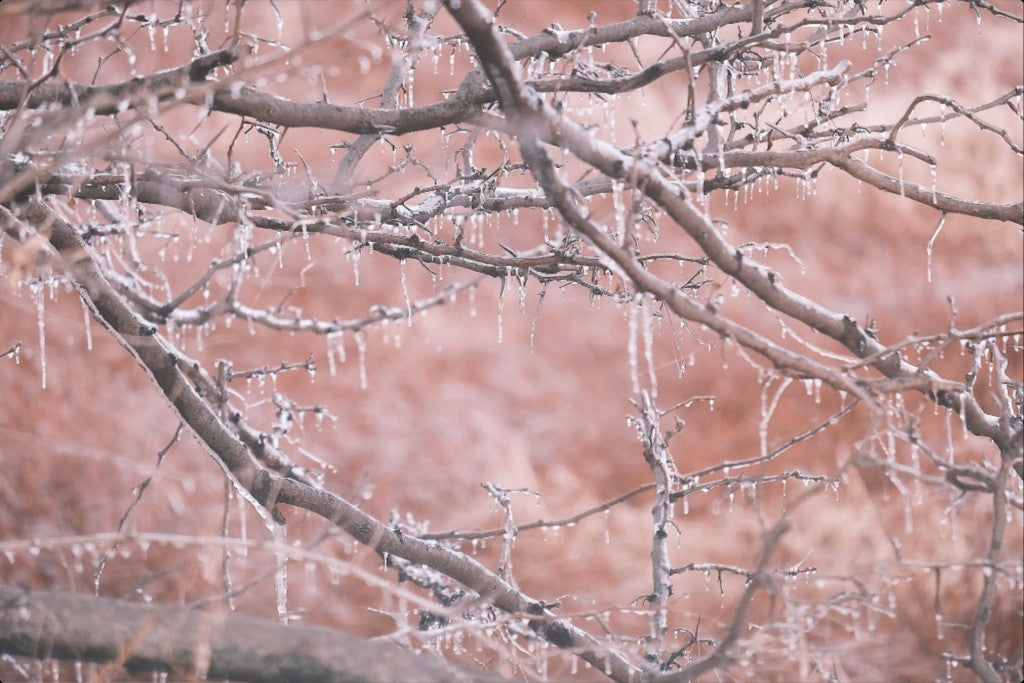 Midwest Winter Freeze