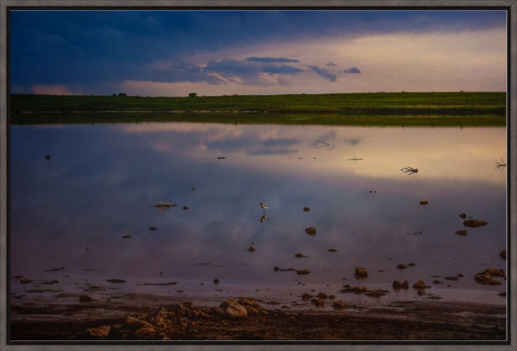 Muleshoe Reflections I