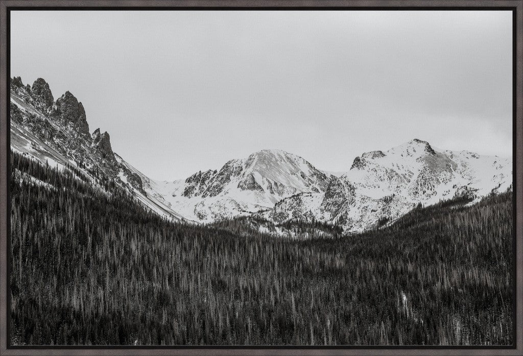 Monochrome Winter Mountains & Pines