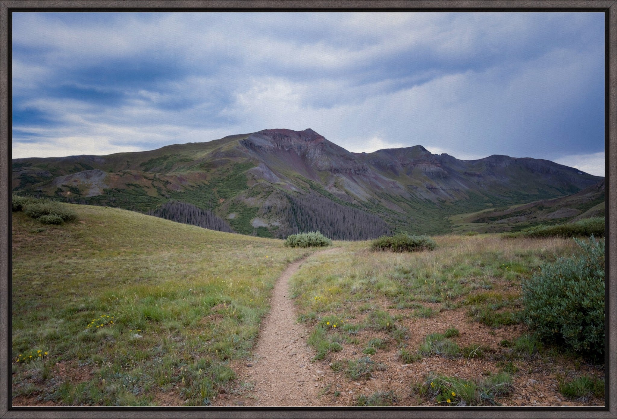 Into the San Juans