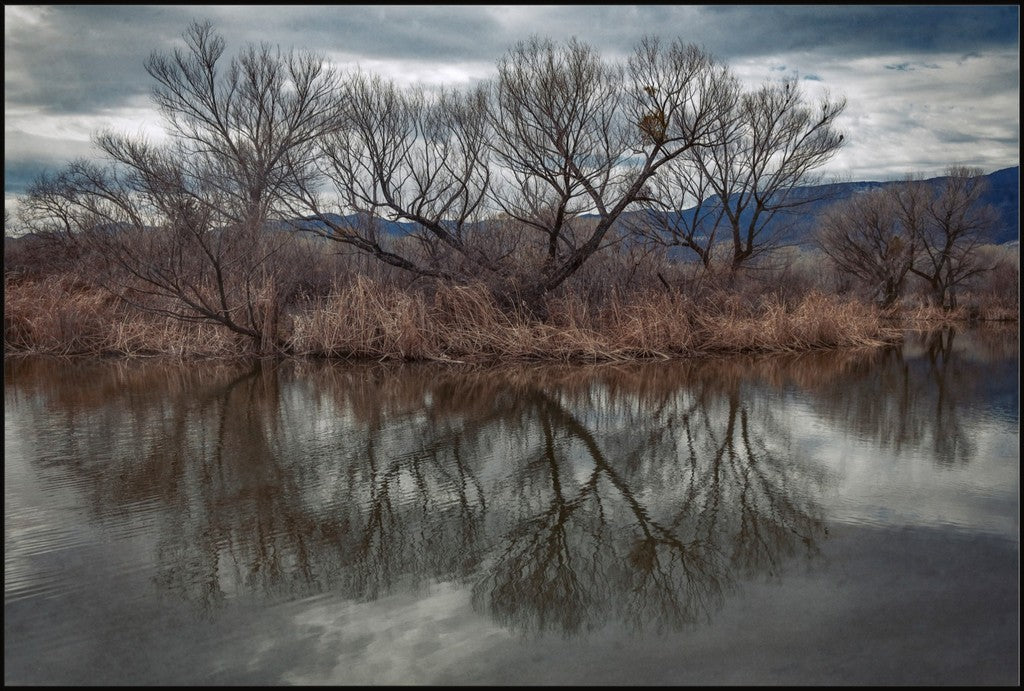 Dead Horse Reflections