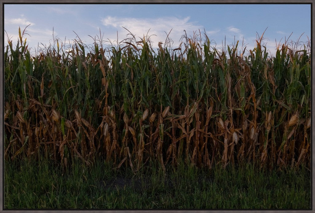 Land of the Tall Corn I