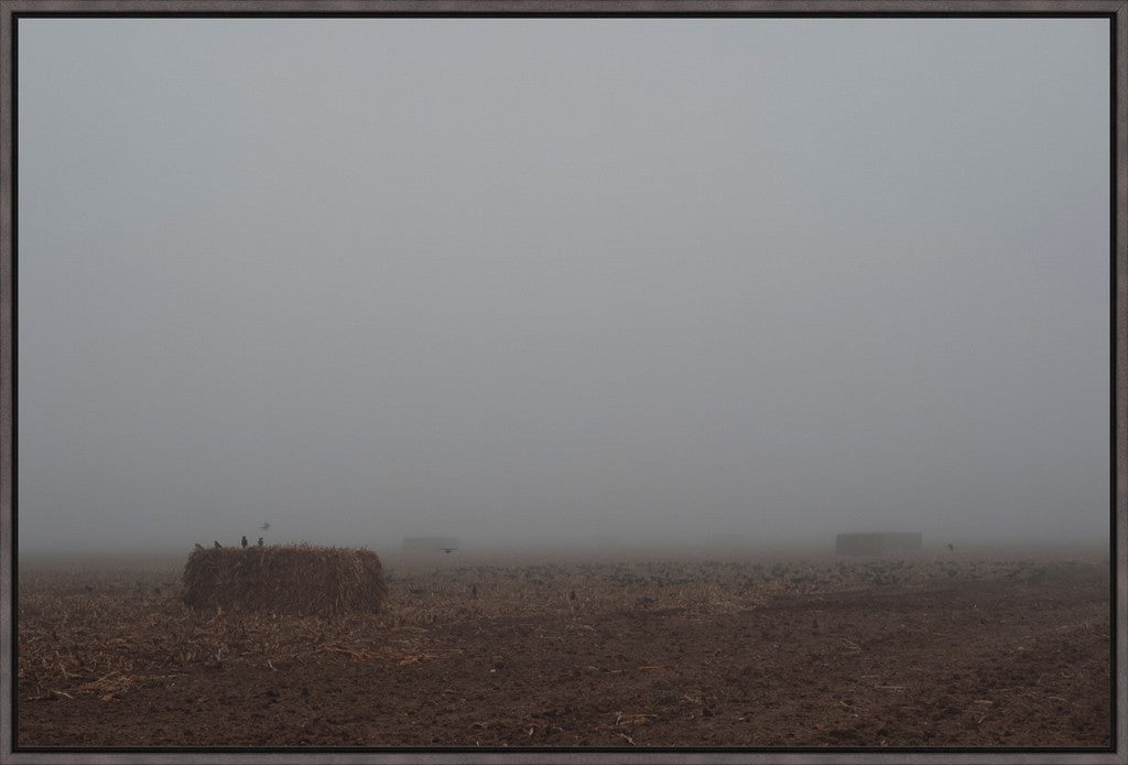 West Texas Winter Fog - 5