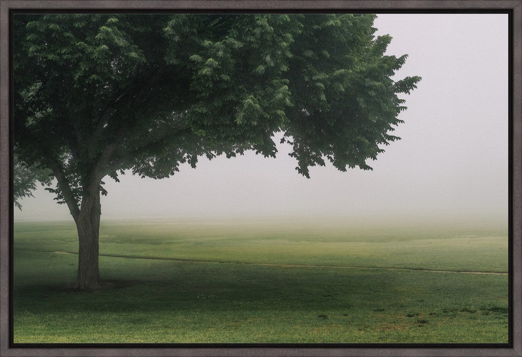 Urban Fog