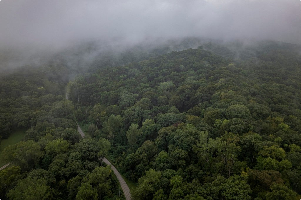 Fog Over the Bluffs Aerial