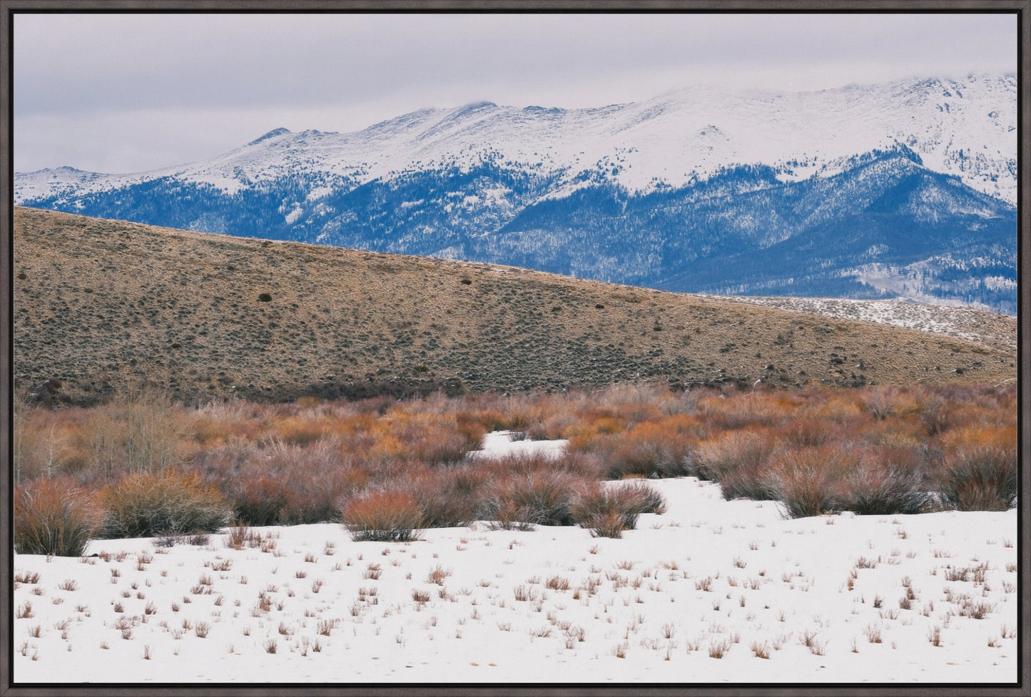 Rocky Mountain Winterscape