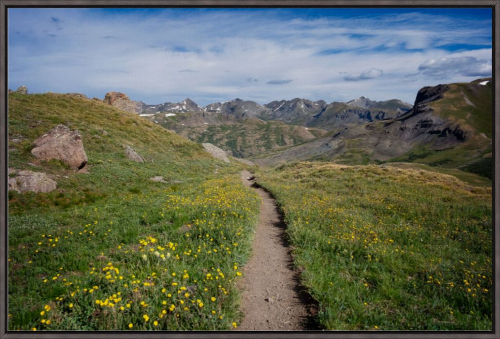 Yellow Wildflowers Way