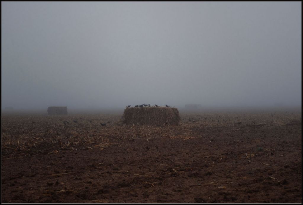 West Texas Winter Fog - 7