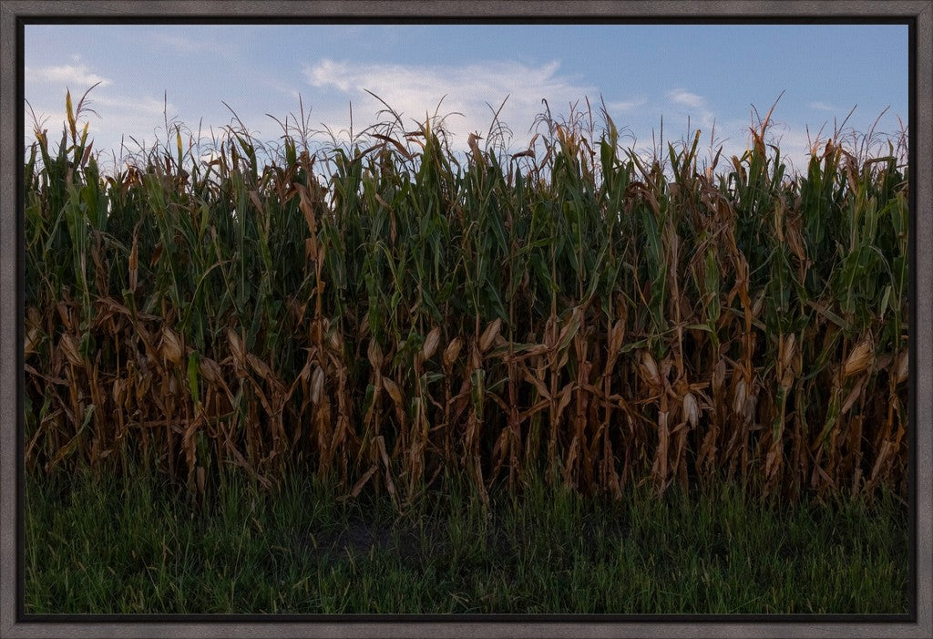 Land of the Tall Corn I