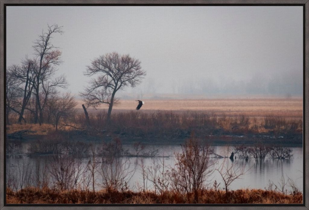 Nebraska Wetlands