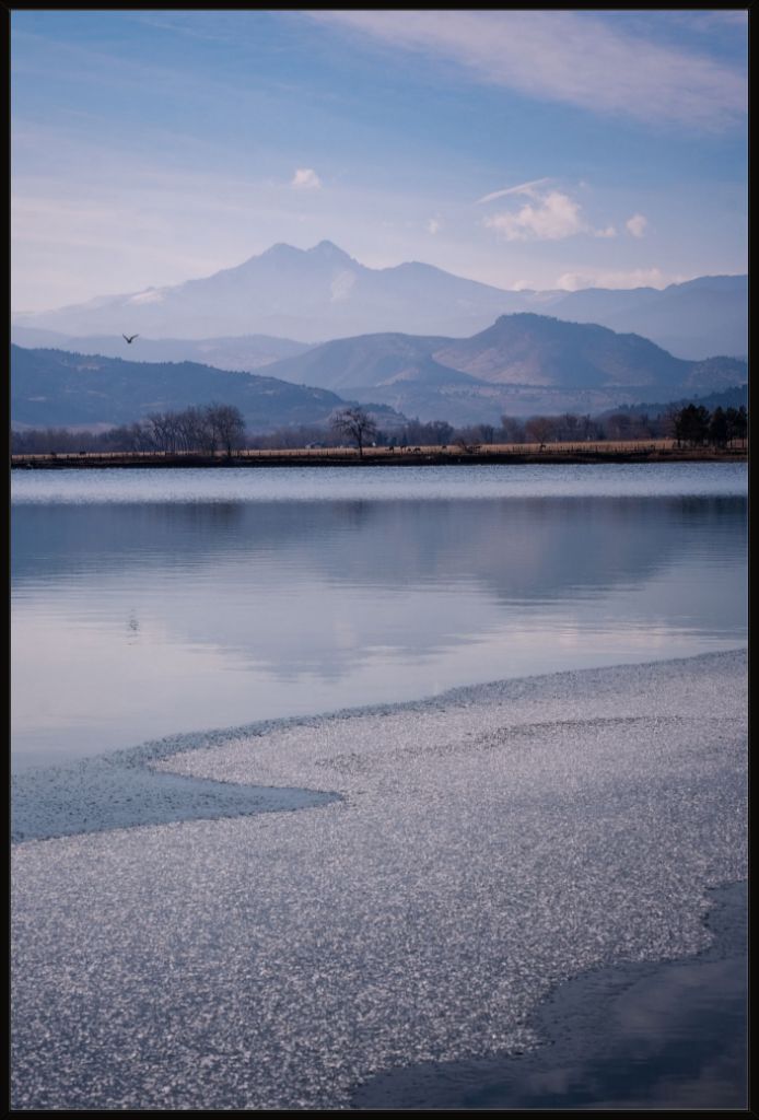 Longs Peak and Bird in Flight