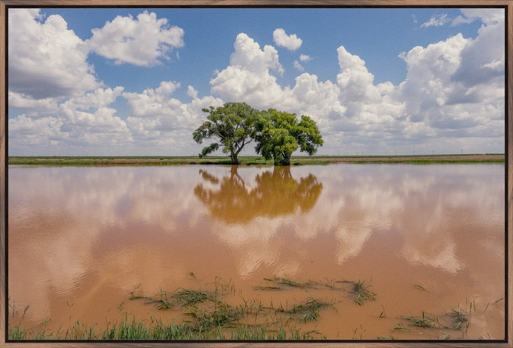 Muddy Reflections