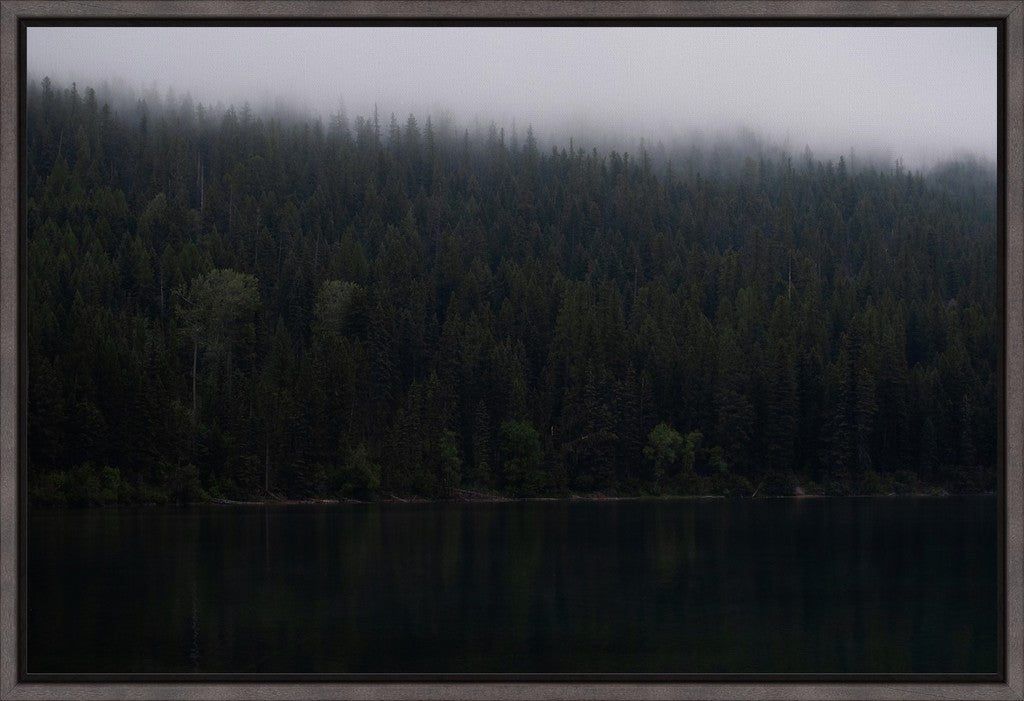 Montana Forest + Lake