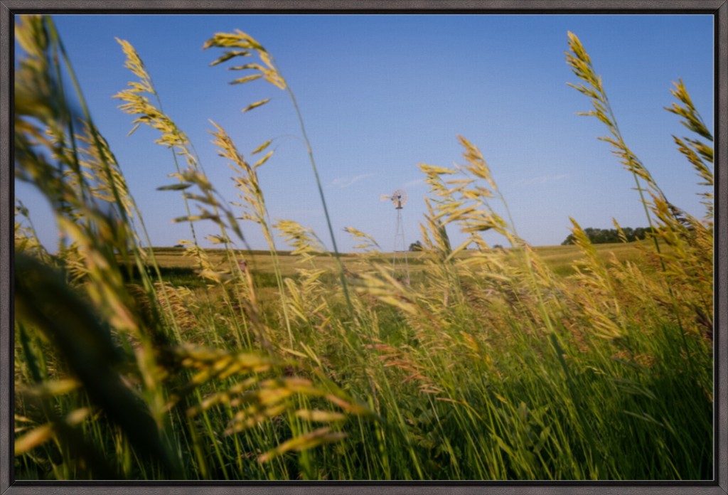 Historic Windmill and Prairie Grass