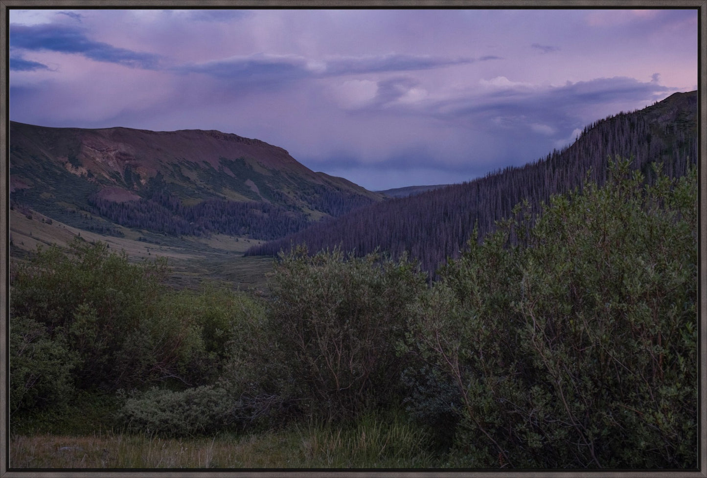 Violet Sunset I