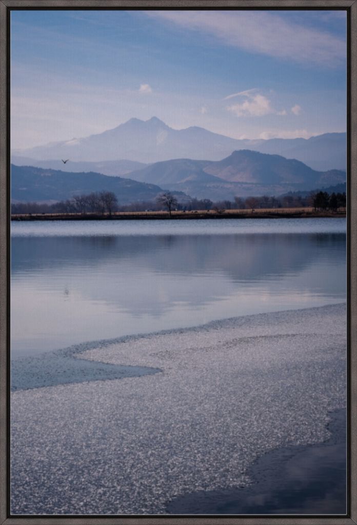 Longs Peak and Bird in Flight
