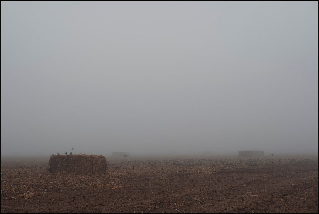West Texas Winter Fog - 5