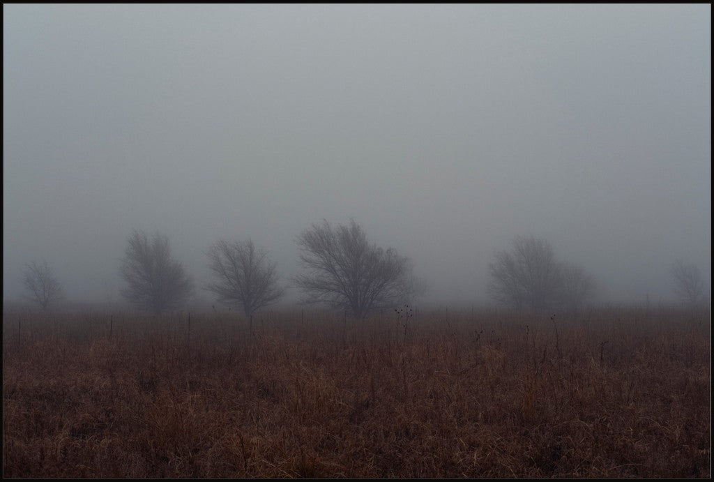 West Texas Winter Fog - 2