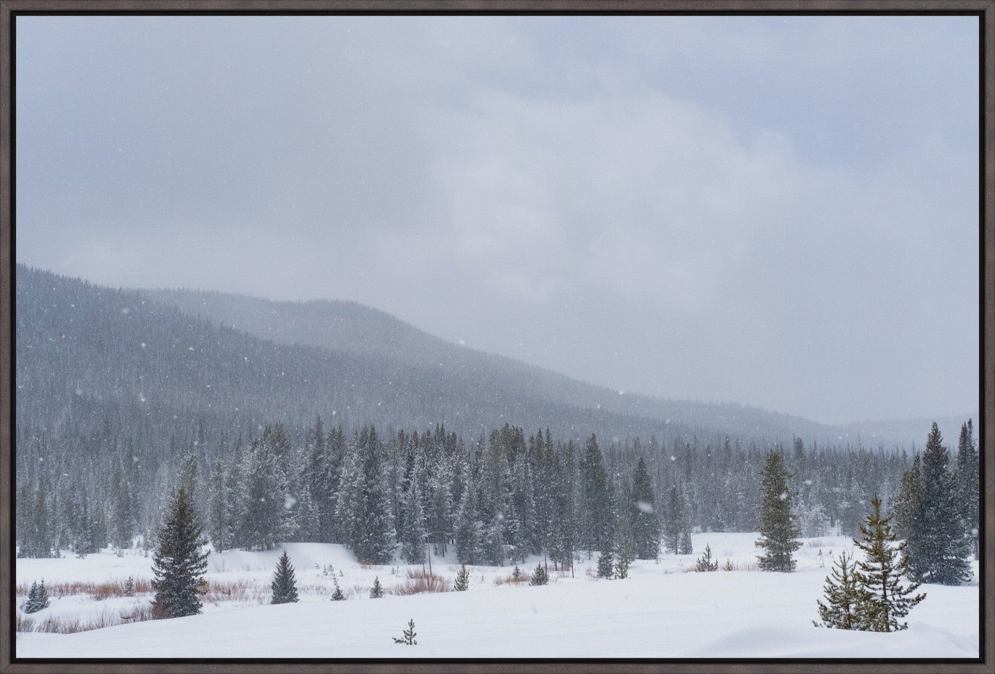 Late Winter Snowfall