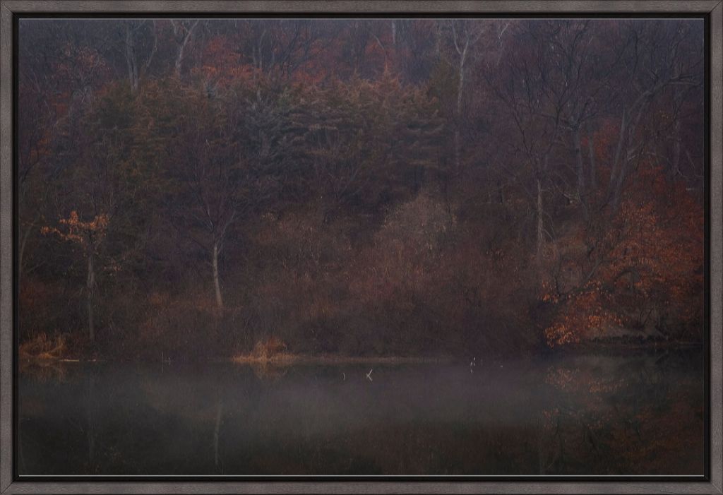 Foggy Winter Woods and Lake