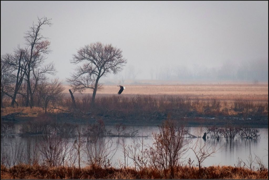 Nebraska Wetlands