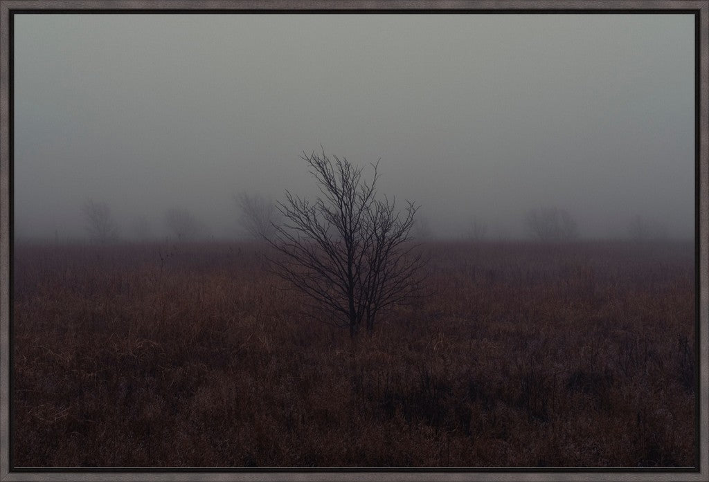 West Texas Winter Fog - 1