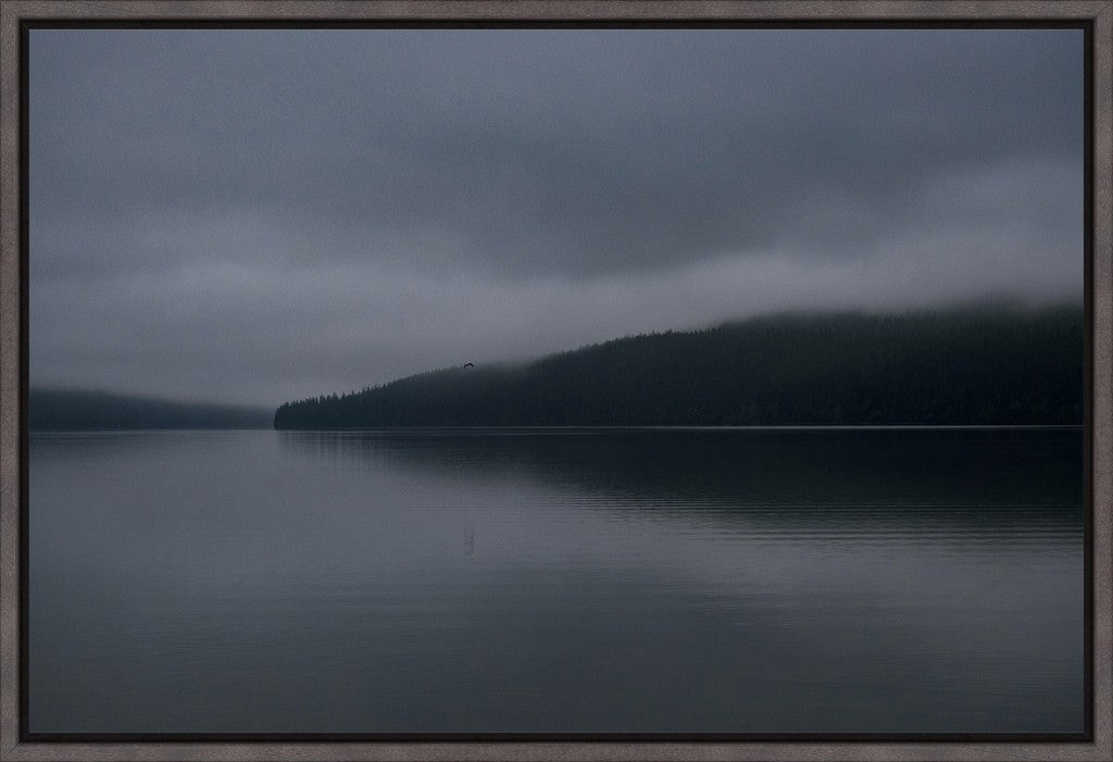 Dark Waters + Bird in Flight