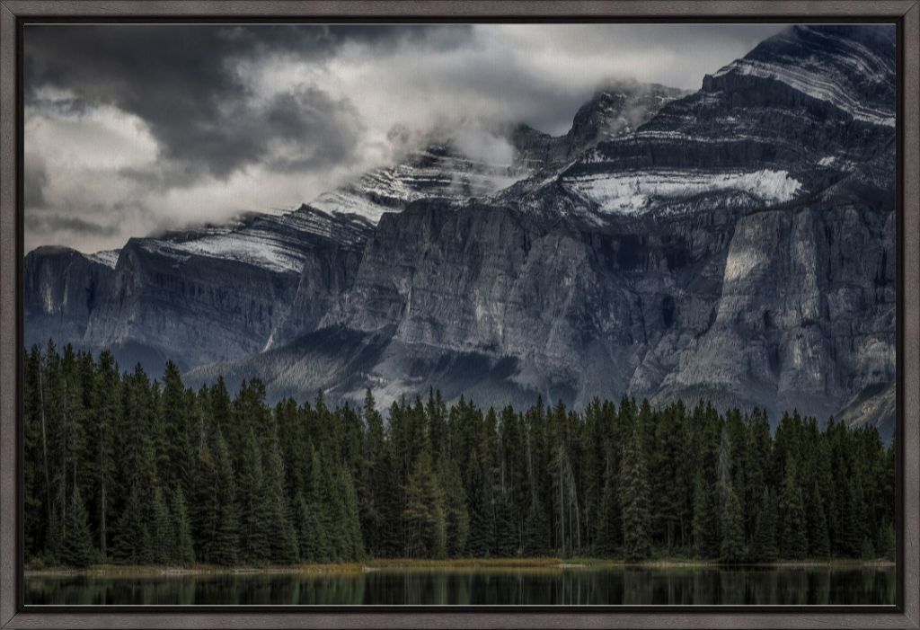 Green Forest and Mountain