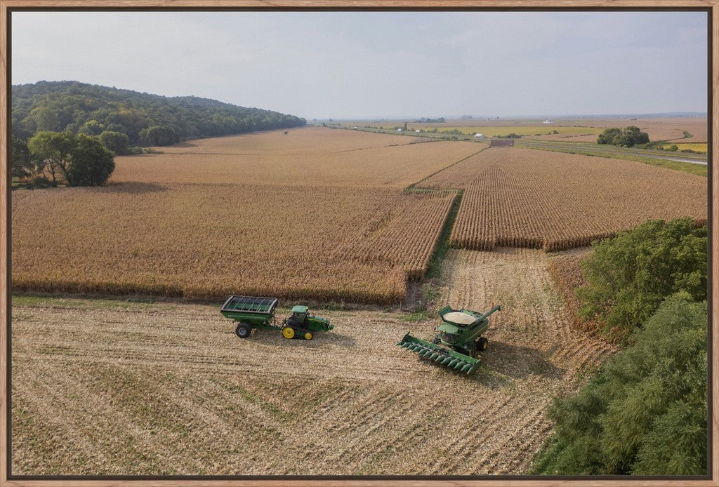 Aerial Corn Harvest I