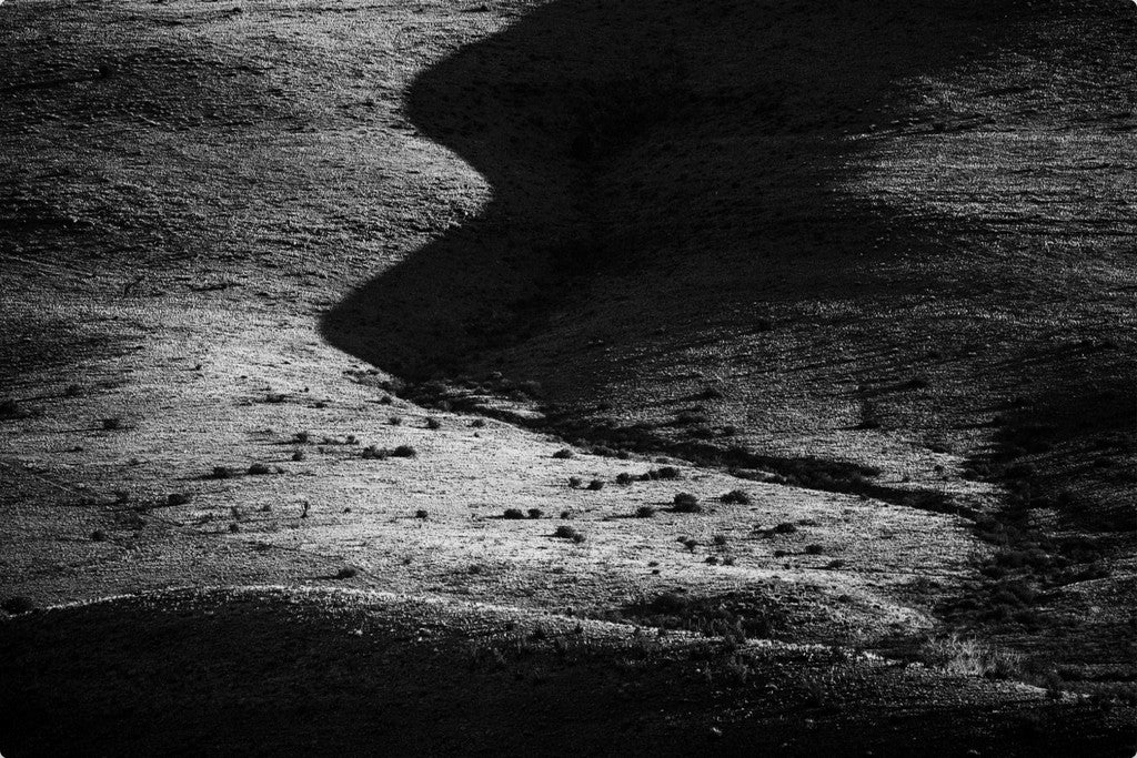 Bodies of Land IV