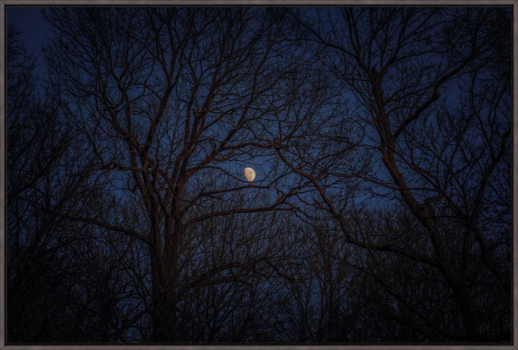 Winter Moon