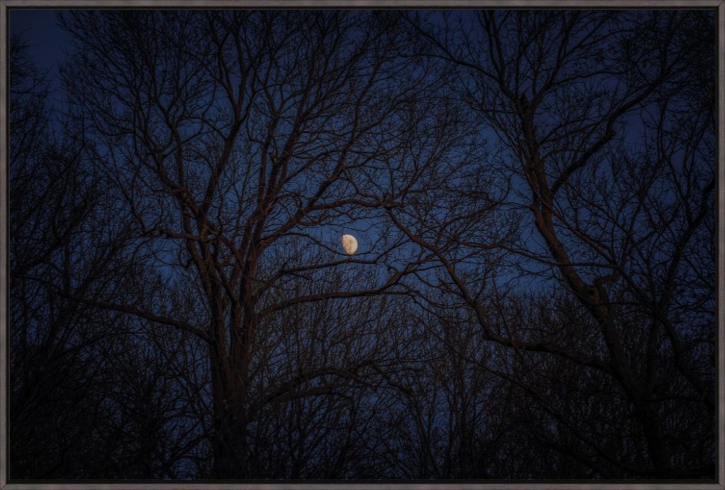 Winter Moon