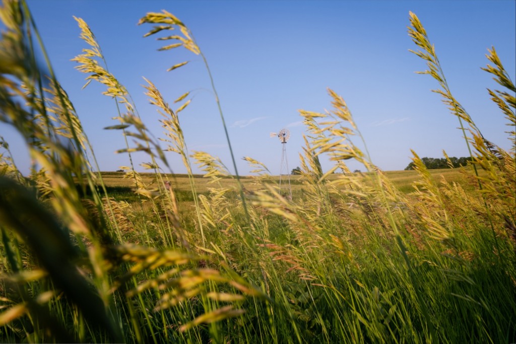 Historic Windmill and Prairie Grass