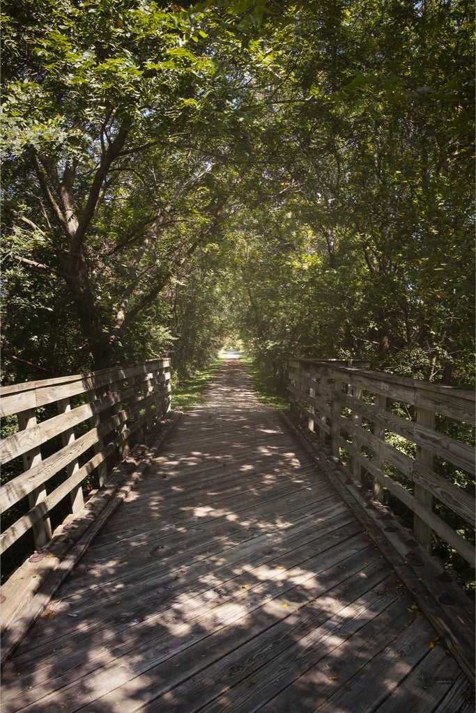 Rural Bike Path II