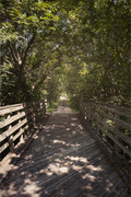 Rural Bike Path II