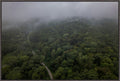 Fog Over the Bluffs Aerial