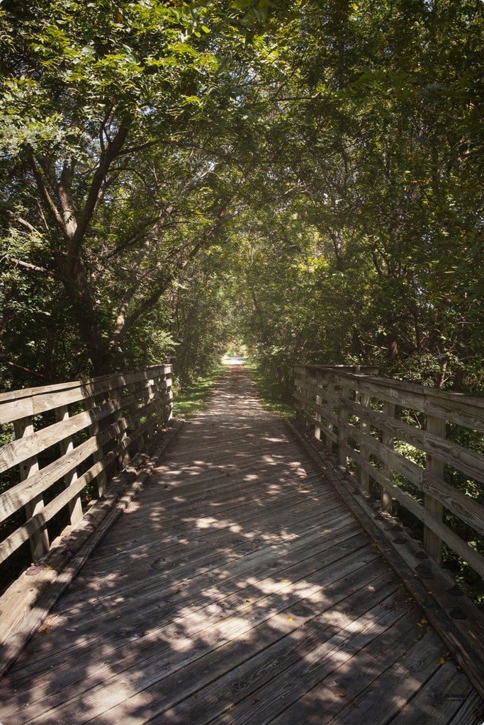 Rural Bike Path II