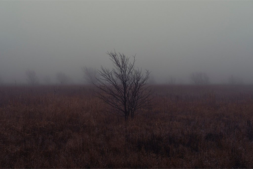 West Texas Winter Fog - 1