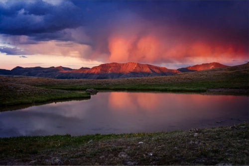 After the Hail Storm II