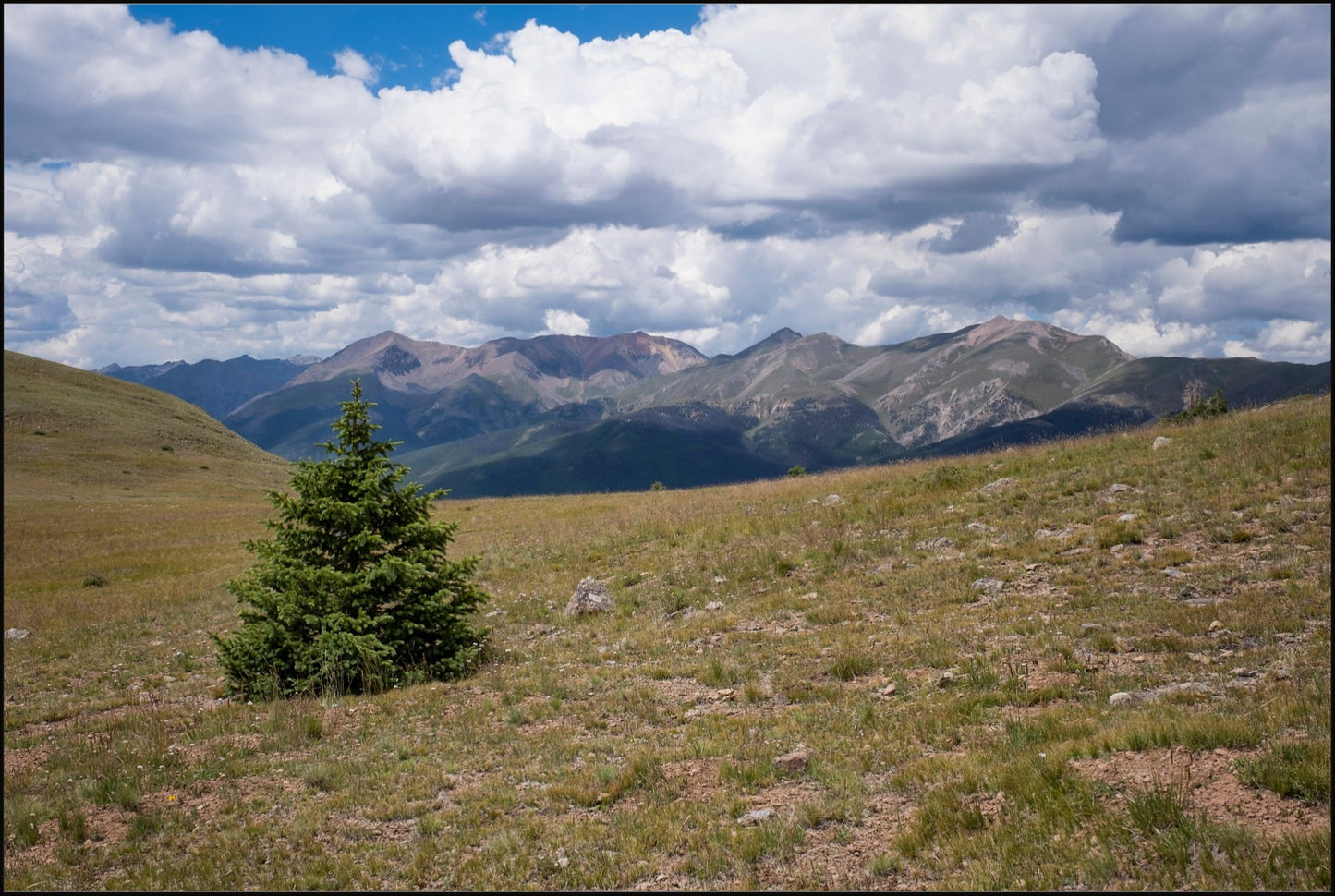Evergreen Views