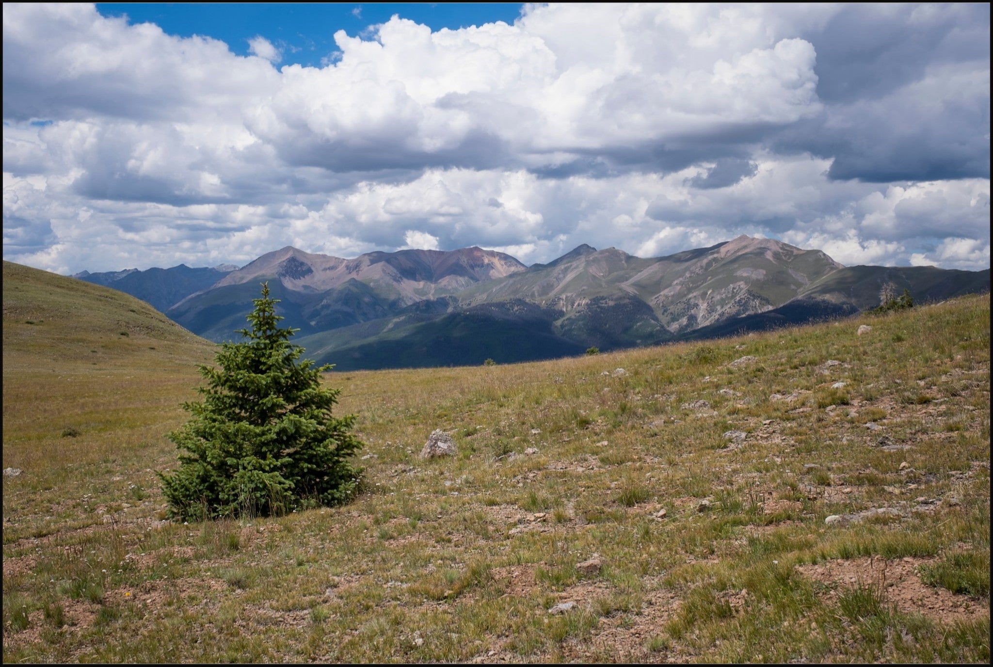Evergreen Views