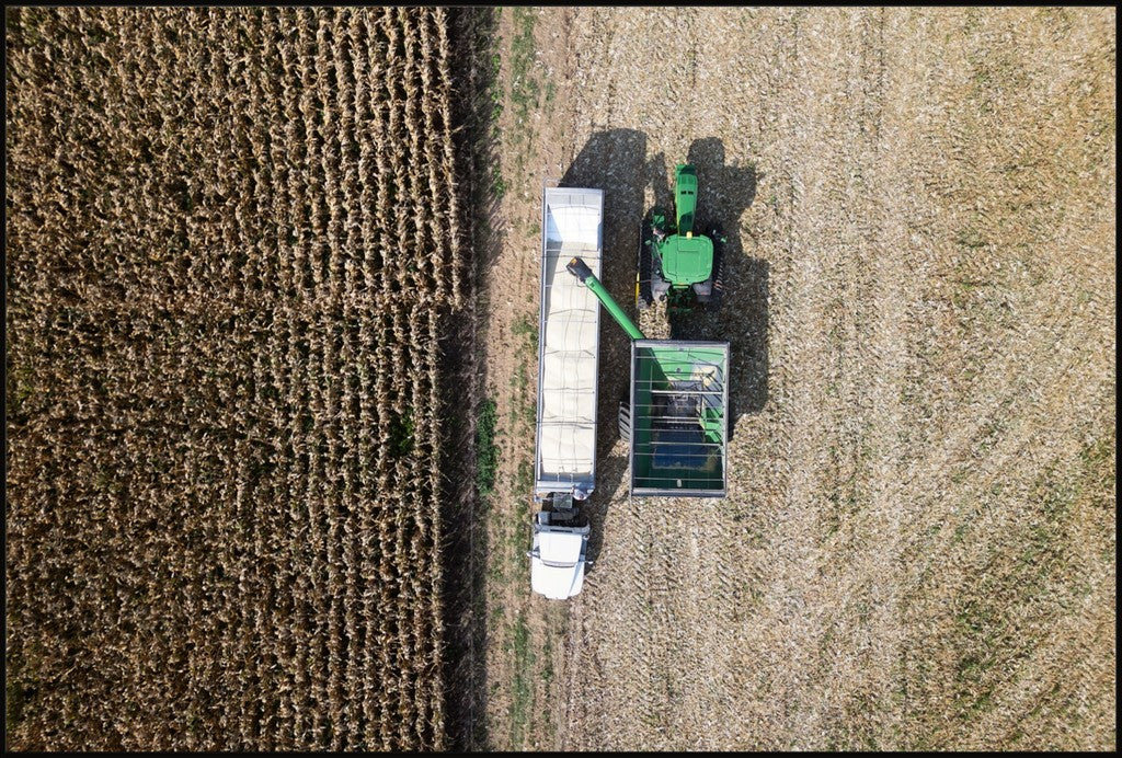 Aerial Corn Harvest IV