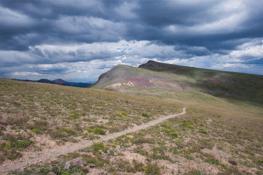 A Path Forward