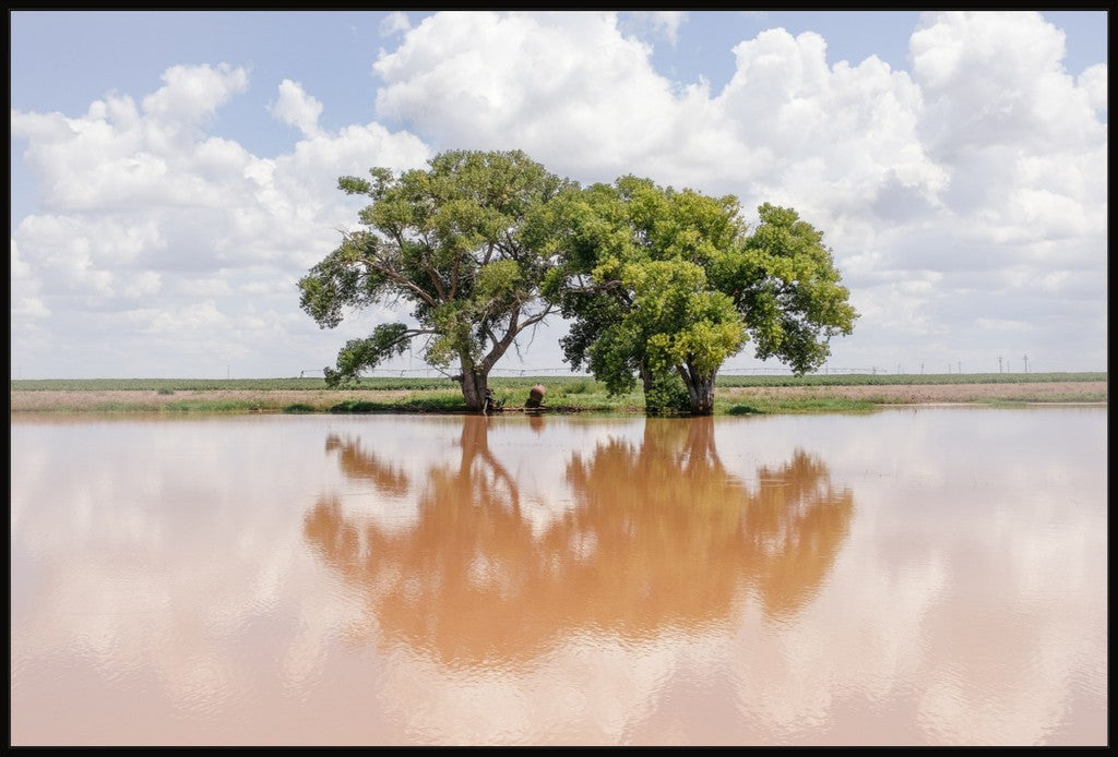 Soft Reflections