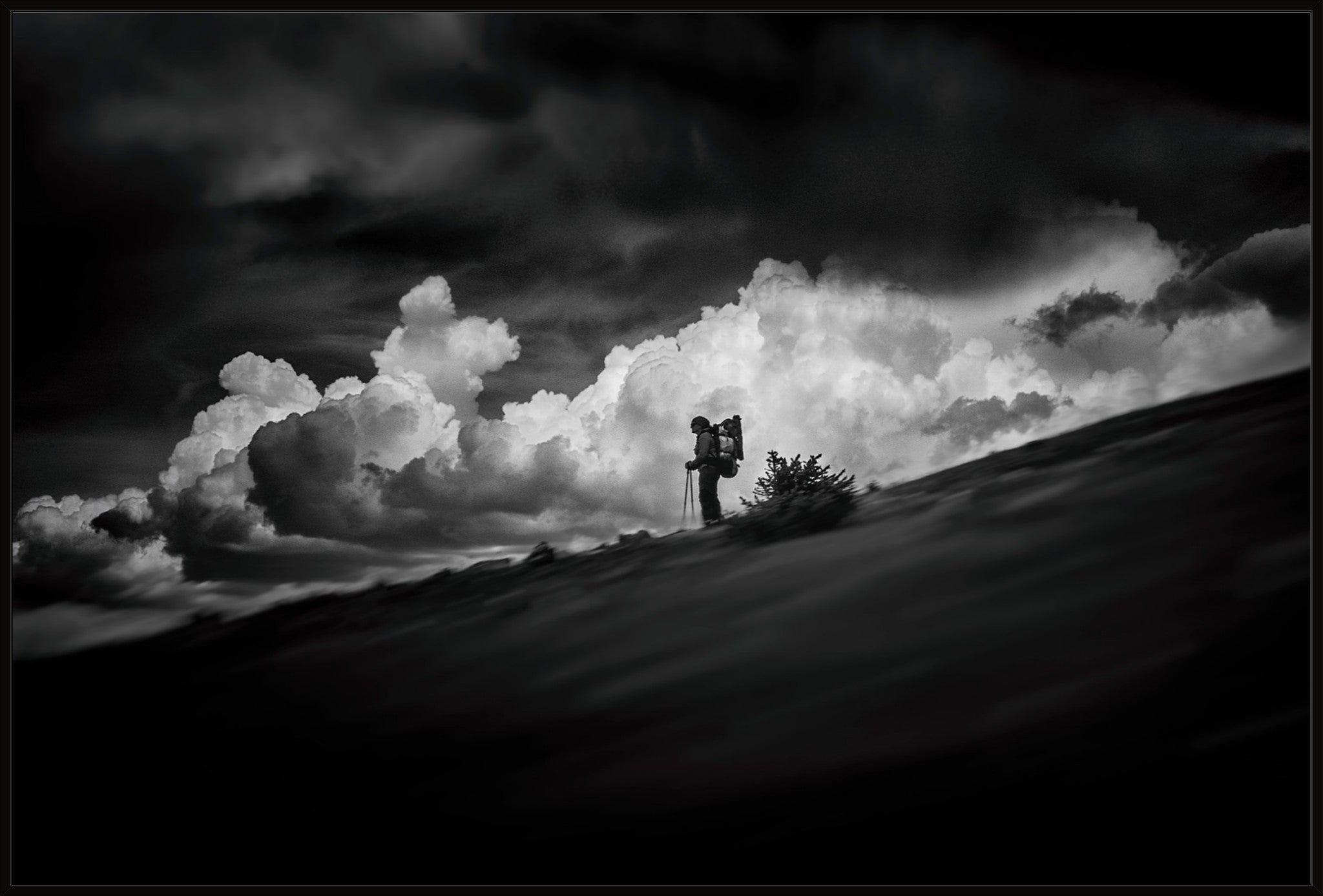 The Hiker