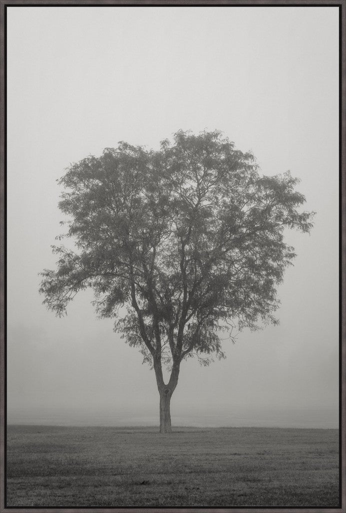 Tree in Fog