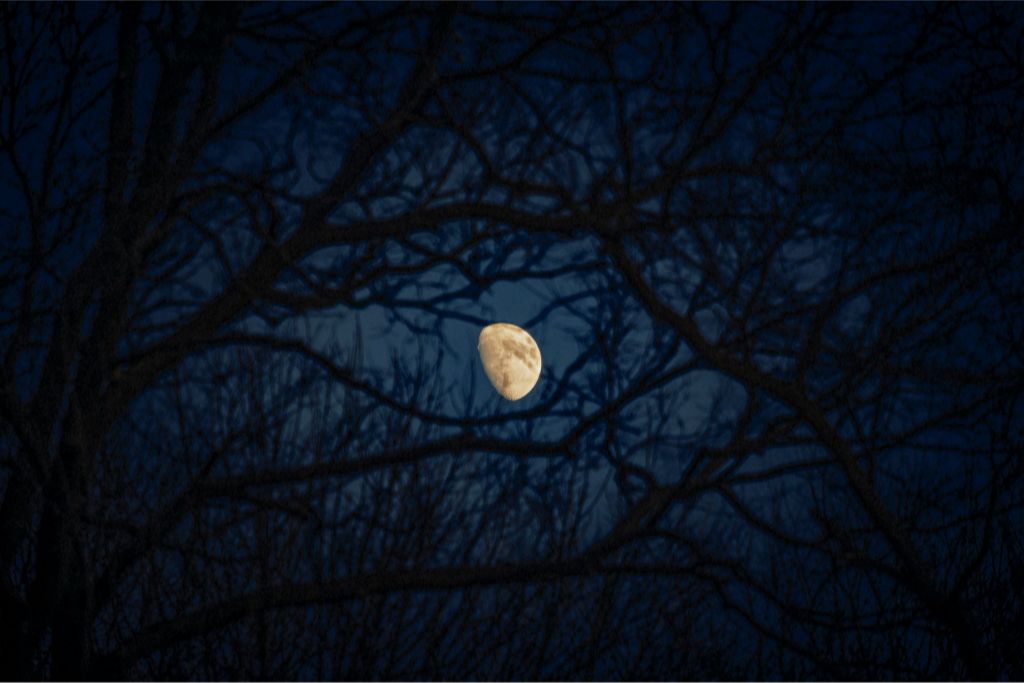 Waxing Gibbous