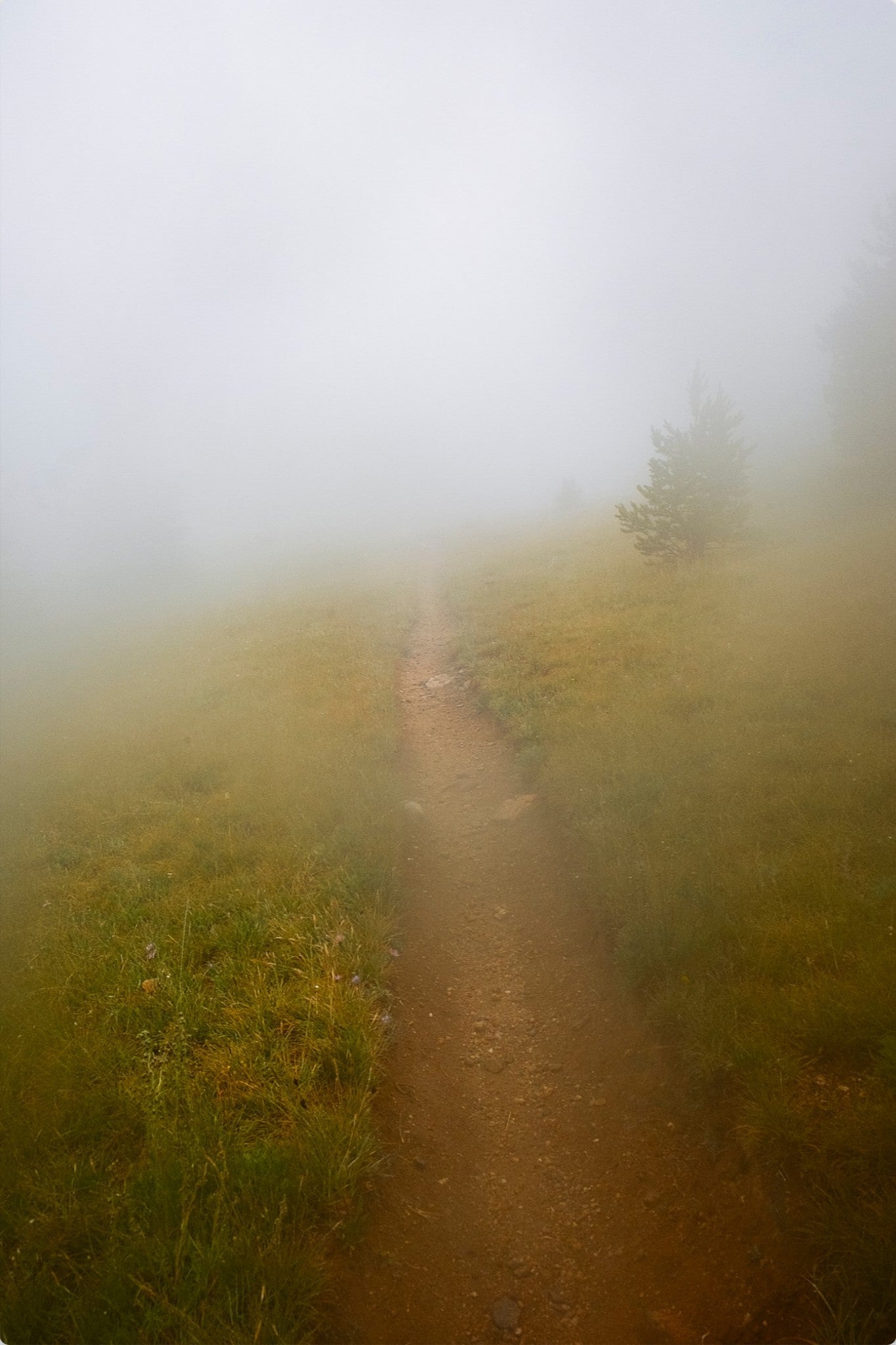 Late August Fog