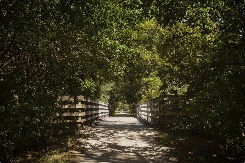 Rural Bike Path I